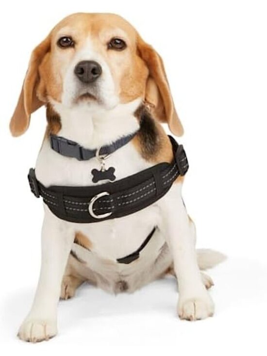 Petco Other - EveryYay Black Easy On Training Dog Harness XS Adjustable Petco Extra Small